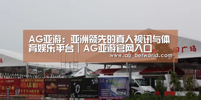 案例标题十