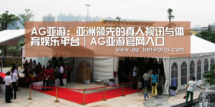 案例标题一