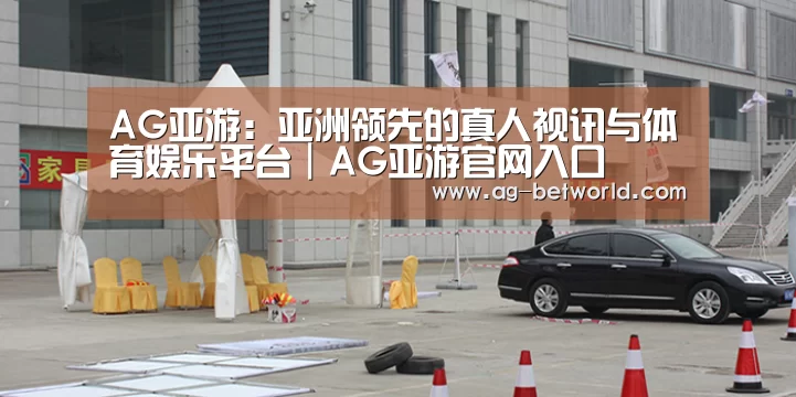 案例标题六