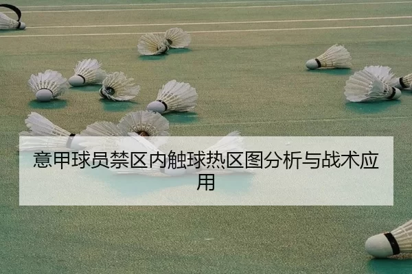 意甲球员禁区内触球热区图分析与战术应用